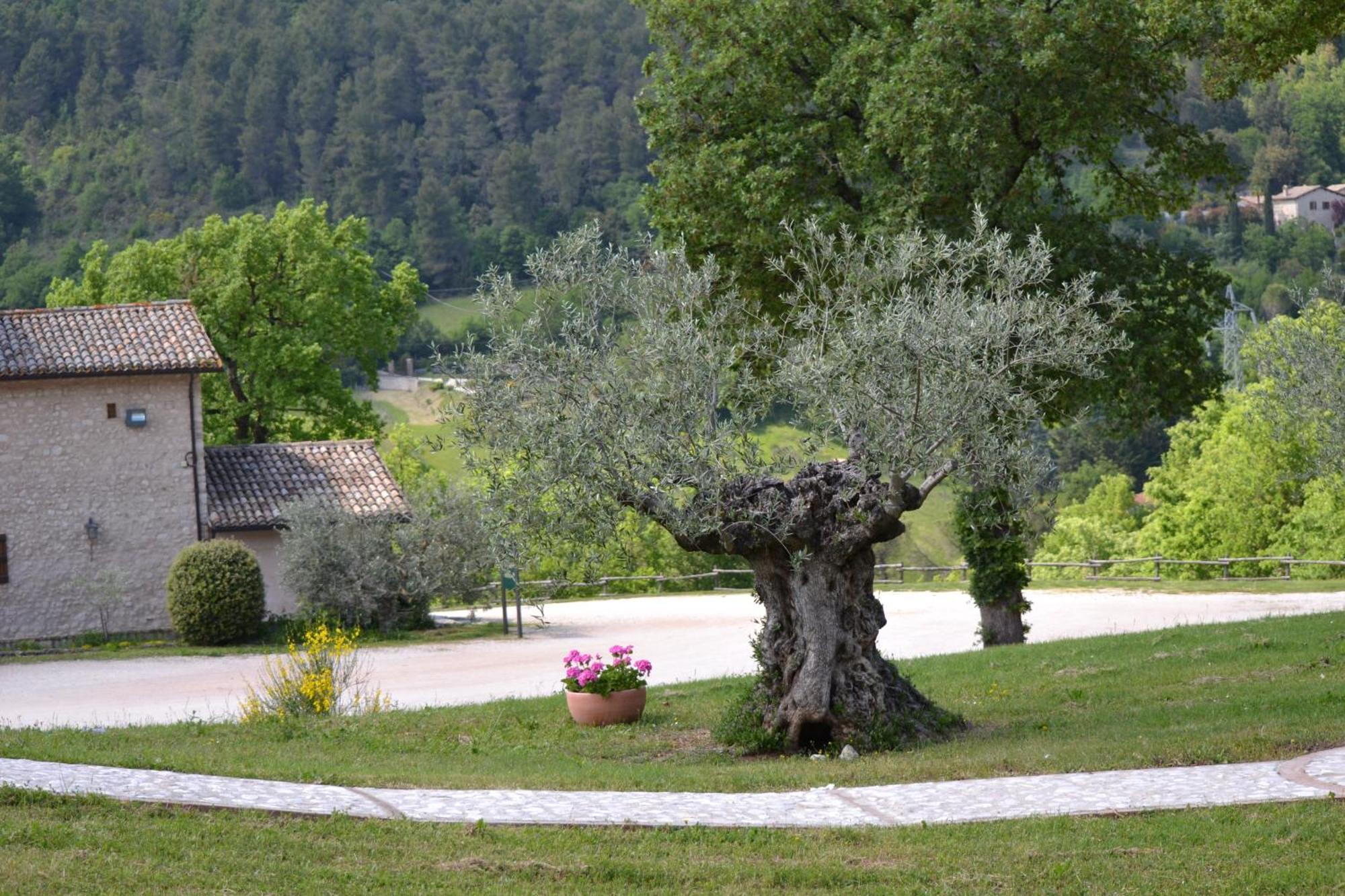 Valle Rosa Spoleto Bagian luar foto
